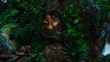 Fototapeta Ubuntu Forest