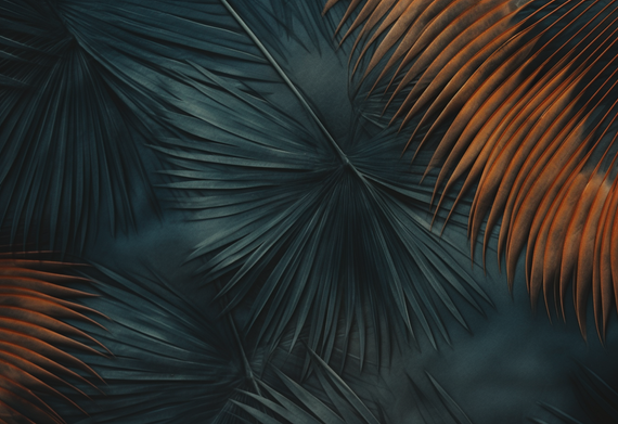 Tapeta Artystyczna Minimalisme Nuit MN108