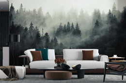 Fototapeta Ciemny Las We Mgle