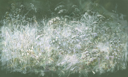 Fototapeta artystyczna Feronia 2 kwiaty trawy