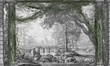 Tapeta Artystyczna Arcadia