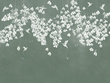 Fototapeta Wallcraft Colibris