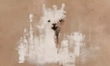 Fototapeta Lama