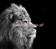 Fototapeta RE130004 LEW