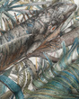 Fototapeta artystyczna Komodo Iguana liście