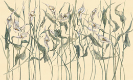 Fototapeta artystyczna Amanda kwiaty