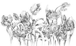 Fototapeta artystyczna Greta kwiaty