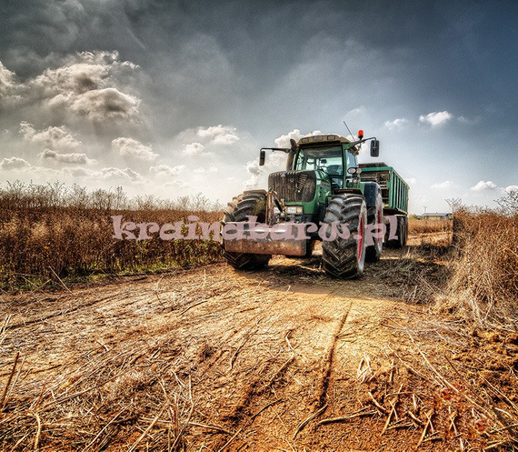 Fototapeta RE080008 TRAKTOR