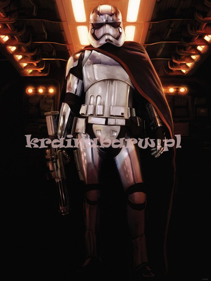 Fototapeta na flizelinie 2752 Kapitan Phasma