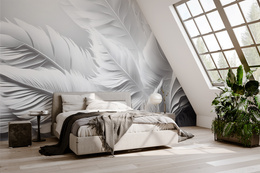 Fototapeta Duże Białe Pióra