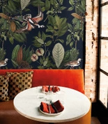 Tapeta Artystyczna Orange bird