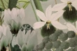 Fototapeta Alice's Garden 