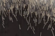 Fototapeta Glamora Fireworks