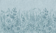 Fototapeta artystyczna Daisy kwiaty trawy