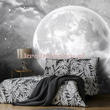Fototapeta 13574 Księżyc na betonie - czarno-biały