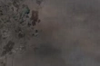 Fototapeta Glamora Edera