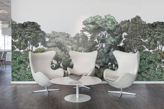 Fototapeta Tajemniczy Las Bellewood