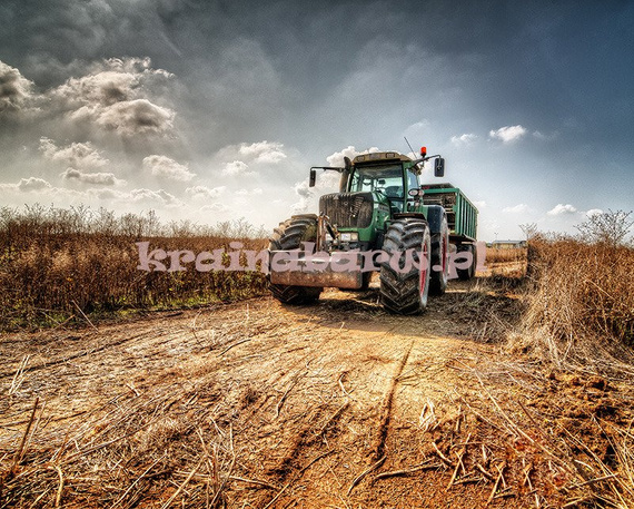 Fototapeta RE080008 TRAKTOR