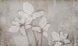 Fototapeta artystyczna Iris Kwiaty