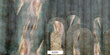 Fototapeta 82350