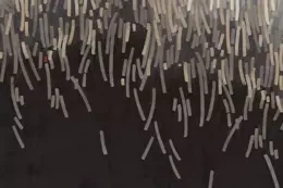 Fototapeta Glamora Fireworks