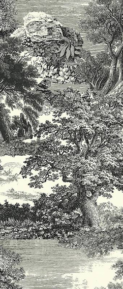Panel Salcey Forest