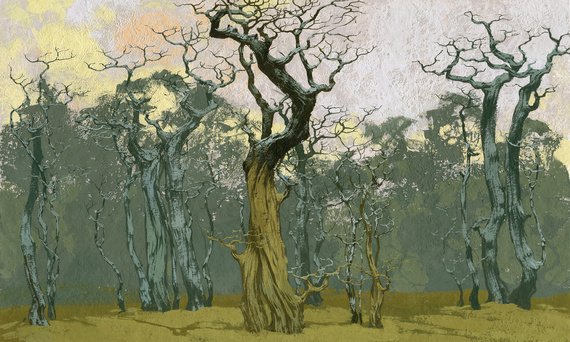 Fototapeta artystyczna Fangorn drzewa grafika