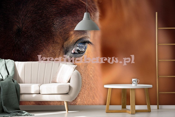 Fototapeta RE130012 KOŃ