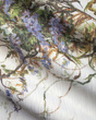Fototapeta artystyczna Pastorale zwisające kwiaty wisteria