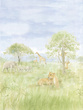 Tapeta Mural CW6113-2 Safari Park