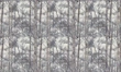 Fototapeta Wallart Temper