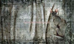 Fototapeta na flizelinie Raquel kangur