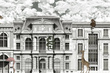 Fototapeta Animal Avenue