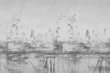 Fototapeta Glamora Stillness