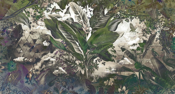 Fototapeta Bongo Congo