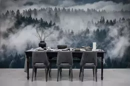 Fototapeta Las We Mgle