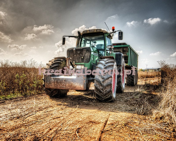 Fototapeta RE0800017 TRAKTOR