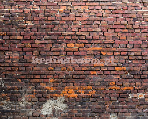 Fototapeta RE020005 CEGLANA ŚCIANA