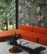 Tapeta Artystyczna Orange bird
