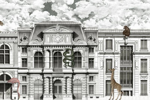 Fototapeta Animal Avenue