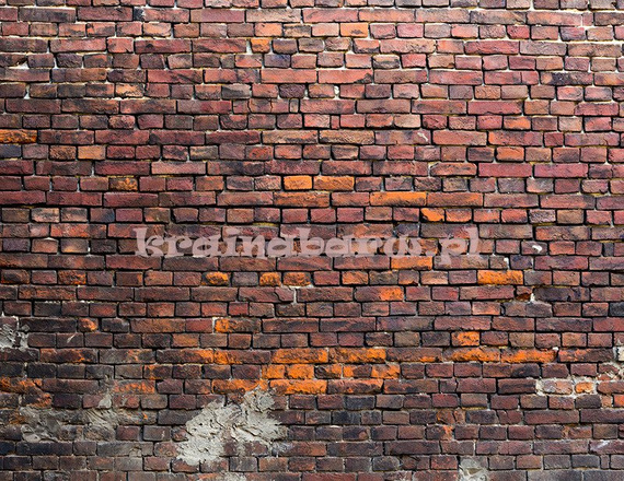 Fototapeta RE020005 CEGLANA ŚCIANA