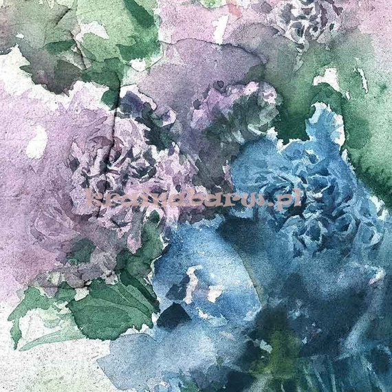 Fototapeta na flizelinie Limonium