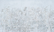 Fototapeta artystyczna Gardenia natura 