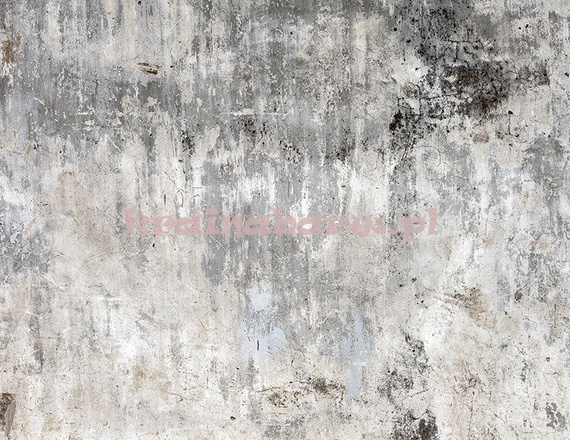 Fototapeta RE020015 BETONOWA ŚCIANA