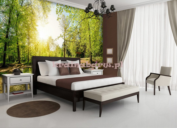 Fototapeta 10508 WIOSENNY LAS