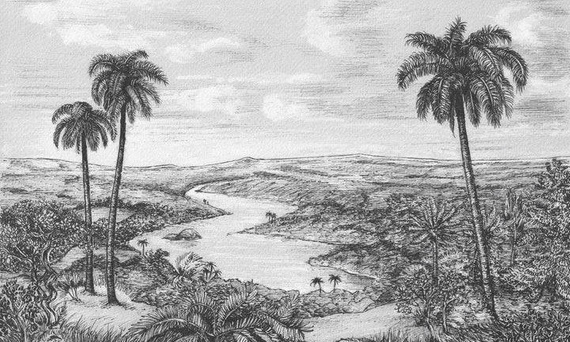 Fototapeta artystyczna Palm palmy rzeka grafika