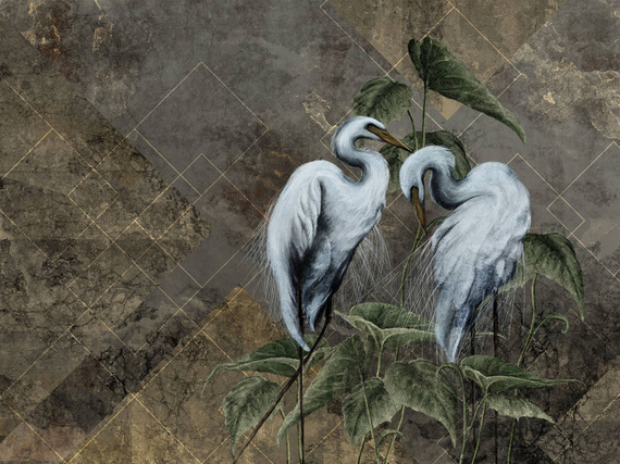 Fototapeta Wallcraft Ardea