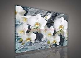 Obraz na płótnie PP1505 białe storczyki na kamieniach