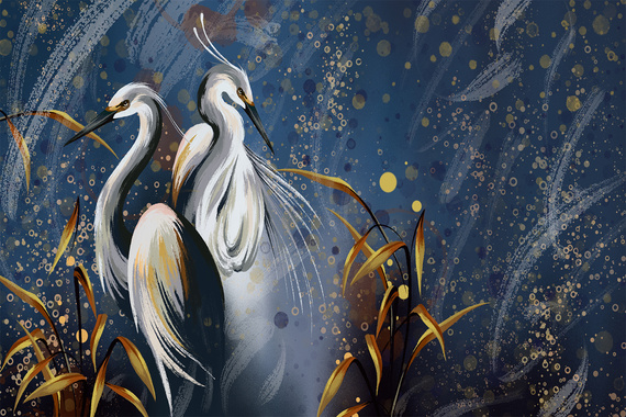 Fototapeta Magiczna Para Ptaków W Tańcu