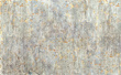 Fototapeta na flizelinie Amber